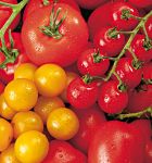 Gemüsepflanzen Profi-Line Gemüsepflanzen Tomaten, Paprika, Gurken veredelt alle Töpfe mit Kennzeichnung der Sorte.