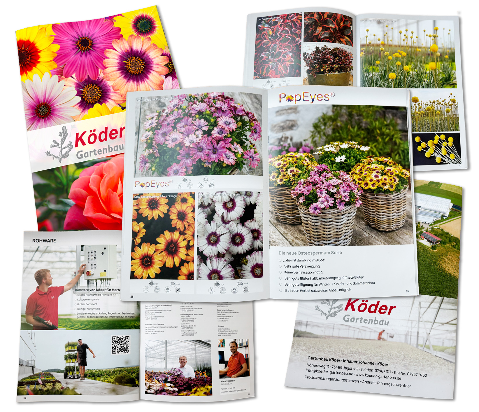 Köder Blätterkatalog